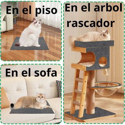 PROTEGE TUS MUEBLES DE LOS ARAÑAZOS DE TU GATO  SIN RENUNCIAR AL ESTILO DE TU HOGAR